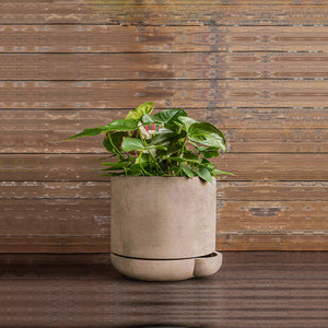 The Simple Pot 1 Quart Planter in brown filled with plants