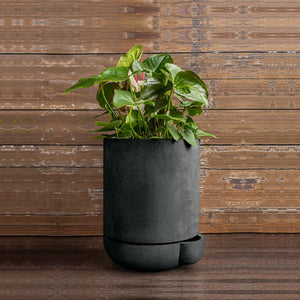 The Simple Pot, 3 Gallon Planter in charcoal filled with plants