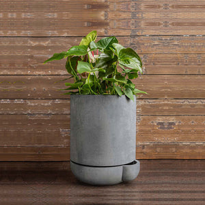 The Simple Pot, 3 Gallon Planter in grey filled with plants