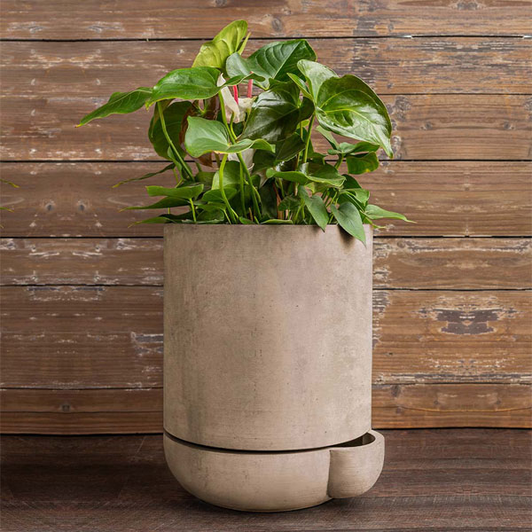 The Simple Pot, 7 Gallon Planter in brown filled with plants