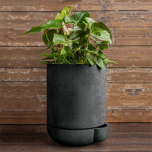 The Simple Pot, 7 Gallon Planter in charcoal filled with plants