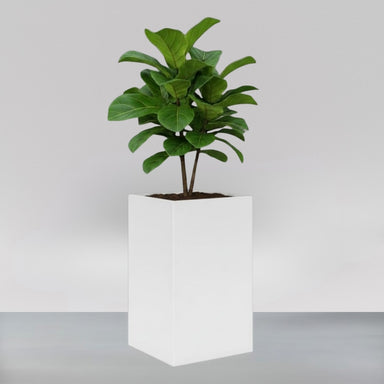 Tolga Corner Fiberglass Planter filled with plants against gray backdrop.