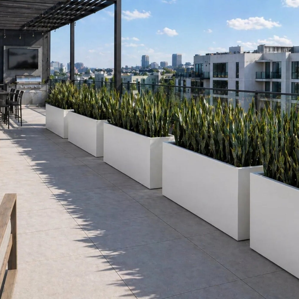 Tolga Modular Fiberglass Planter in matte bright white with snake plants lining a rooftop terrace with city skyline views.