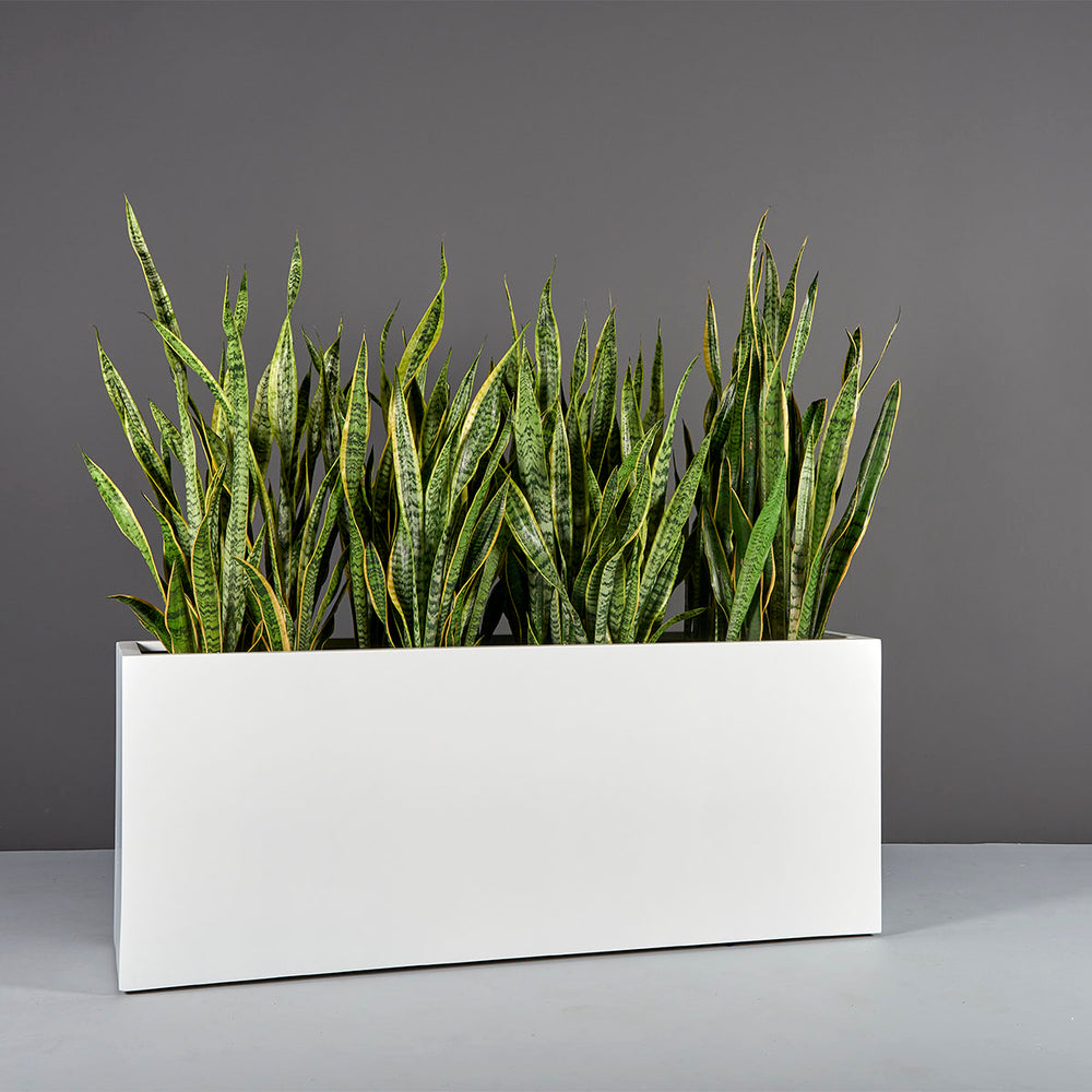 Tolga Rectangle Fiberglass Planter on concrete filled with plants.