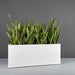 Tolga Rectangle Fiberglass Planter on concrete filled with plants.