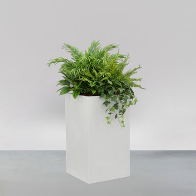 Torino Corner Fiberglass Planter filled with plants against gray background.