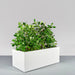 Torino Wide Rectangle Fiberglass Planter on concrete filled with plants.