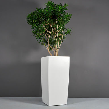 Toulan Tall Tapered Square Fiberglass Planter on concrete filled with plants.