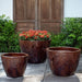 Tropical Planter - Cognac on concrete in the backyard.