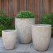 Tropicale Planter, Tall - Caribbean Sand on concrete filled with plants.