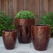 Tropicale Planter, Tall = Cognac on concrete filled with plants.