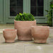 Vail Planter - Terra Cotta - S/3 on concrete filled with plants