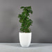 Valencia Tapered Round Fiberglass Planter on concrete filled with plants. 