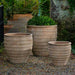 Vari Planter - Antico Terra Cotta - S/3 filled with plants in the backyard