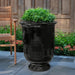 Vaucluse Urn in obsidian color on concrete filled with plants.
