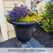 Up-close view of a Williamsburg Egg and Dart planter in black finish filled with vibrant flowers at front entrance of home.