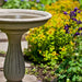 Wyndmoor Birdbath on pathway in the backyard upclose