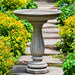 Wyndmoor Birdbath on pathway in the backyard