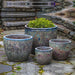 Aspara Planter - Angkor Green Mist - Set of 4 on concrete in the backyard