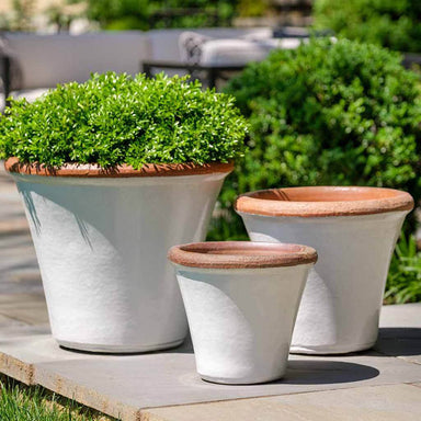 Brighton Planter - Antique White Set of 3 filled with plants in the backyard