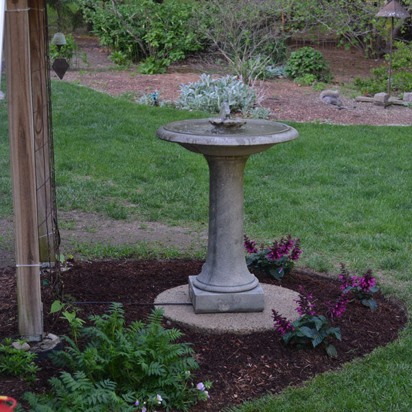 Campania camellia birdbath fountain in action in backyard