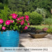 Campania facet fountain on gravel in action surrounded by flowers