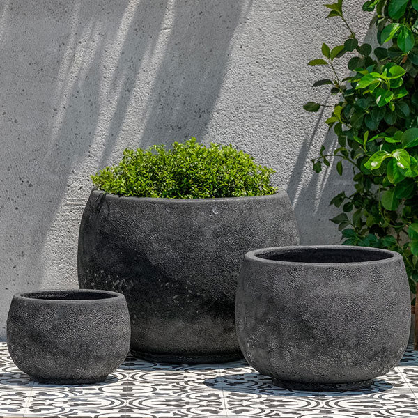 Cantagal Volcanic Coral S/3 filled with plants against white wall