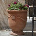 Coquille Anduze Urn S/3 Terra Rosa filled with red flowers in the backyard