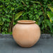 De Vesian Jar Planter - Terra Cotta - S/1 on concrete against green plants