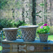 English Weave Large planter on ledge in backyard