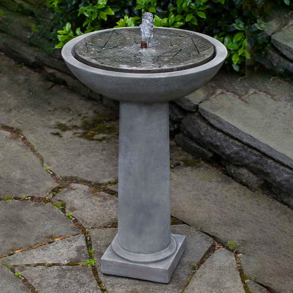 hydrangea leaves birdbath fountain in action