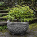 Jaipur Bowl Planter filled with plants beside concrete stairs