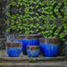 Marcel Planter Bronze Blue S/4 on concrete against wall with leaves