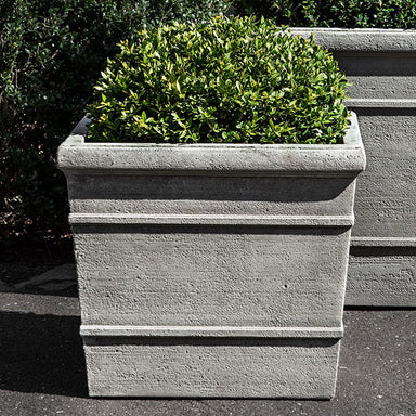 Marin Planter, Small filled with plants in the backyard