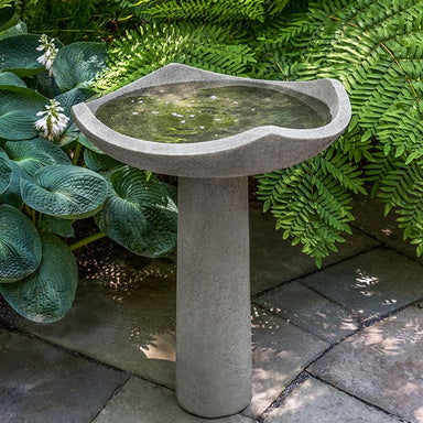 Oslo Birdbath, Large against green plants in the backyard