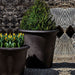 Palo Alto Tall Planter on gravel filled with plants