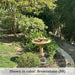 Palos Verdes fountain in garden running