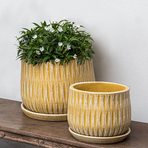 Parabola Large Round Planter - Etched Yellow Set of 8 filled with plants on the table