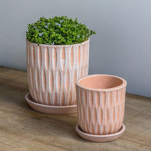 Parabola Shell Pink Planter S/8 filled with plants against white wall
