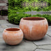 Paseo Planter - Terra Cotta - S/2 on concrete in the backyard