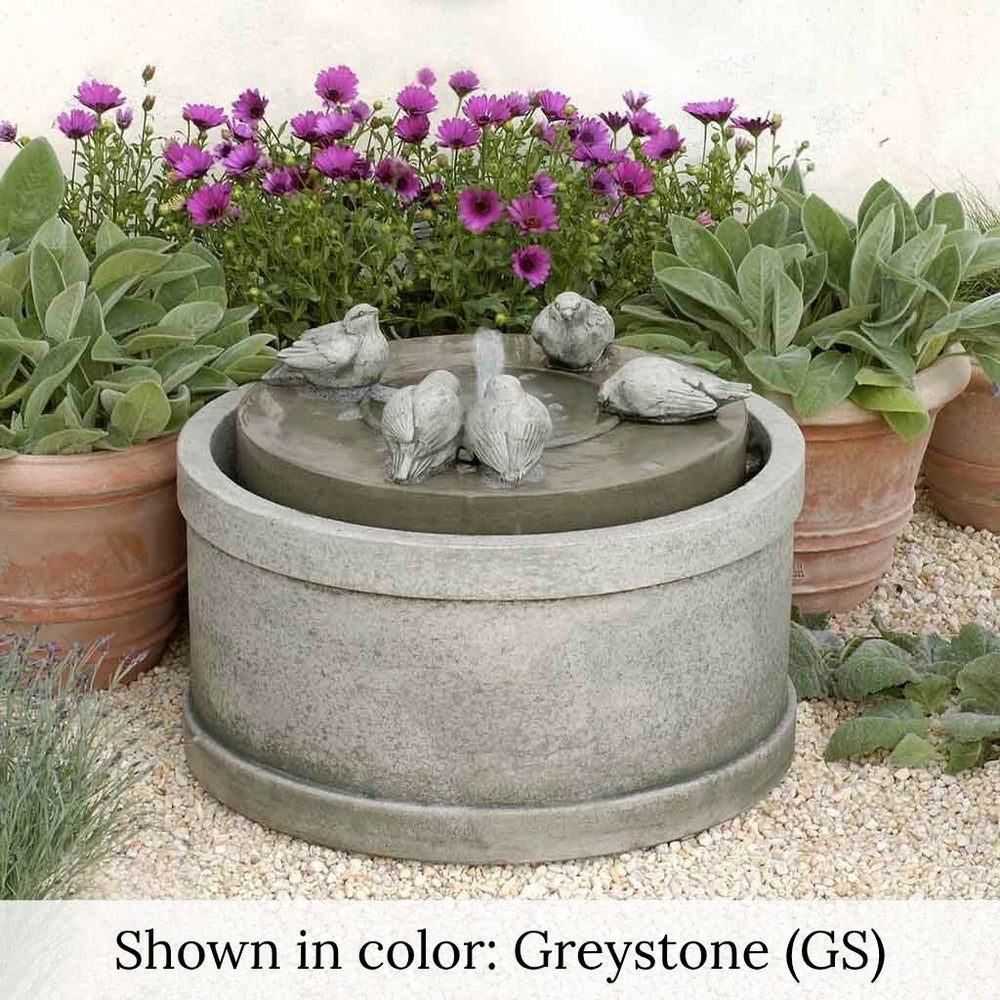 passaros fountain in action