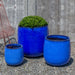 Potrero Planter - Riviera Blue - S/3 filled with plants in the backyard