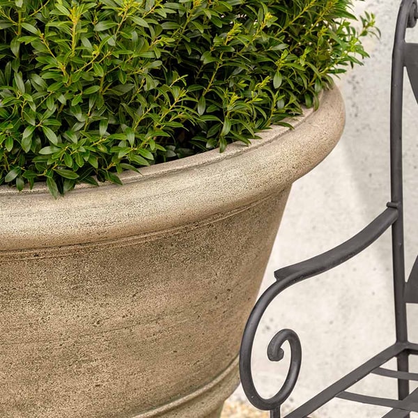 Rustic Rolled Rim 40 Planter filled with plants near a door upclose