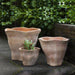 Short Fox Glove Planter - Terra Cotta - S/3 filled with cactus in the backyard