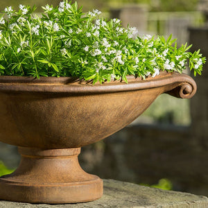 SmLL Medici Planter filled with white flowers in the backyard upclose