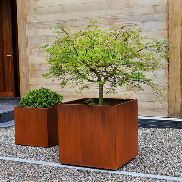 Steel Cube Planter - Steel - S/2 on gravel filled with plants