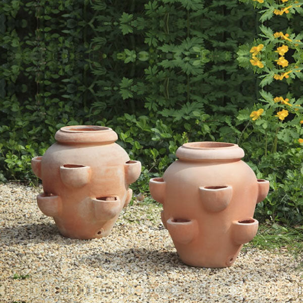 Tascandi Strawberry Jar Planter - Terra Cotta S/2 on gravel against green plants